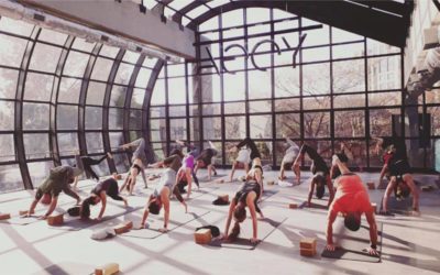 Work Hard, Play Hard… And Breathe
