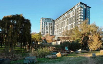 The Sun’s Shining For Brave SA Entrepreneurs