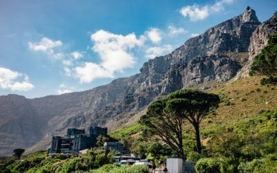 Fun Things To Do In Cape Town