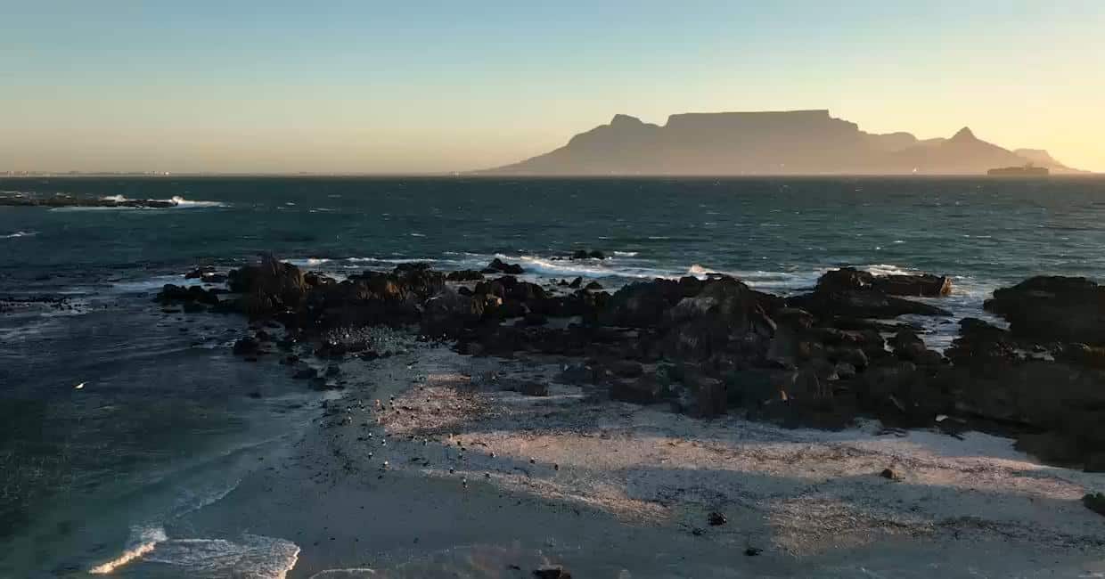 Beach in Cape Town facing Table Mountain